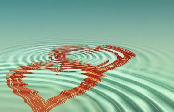 Fortune Casino Ondersteuning